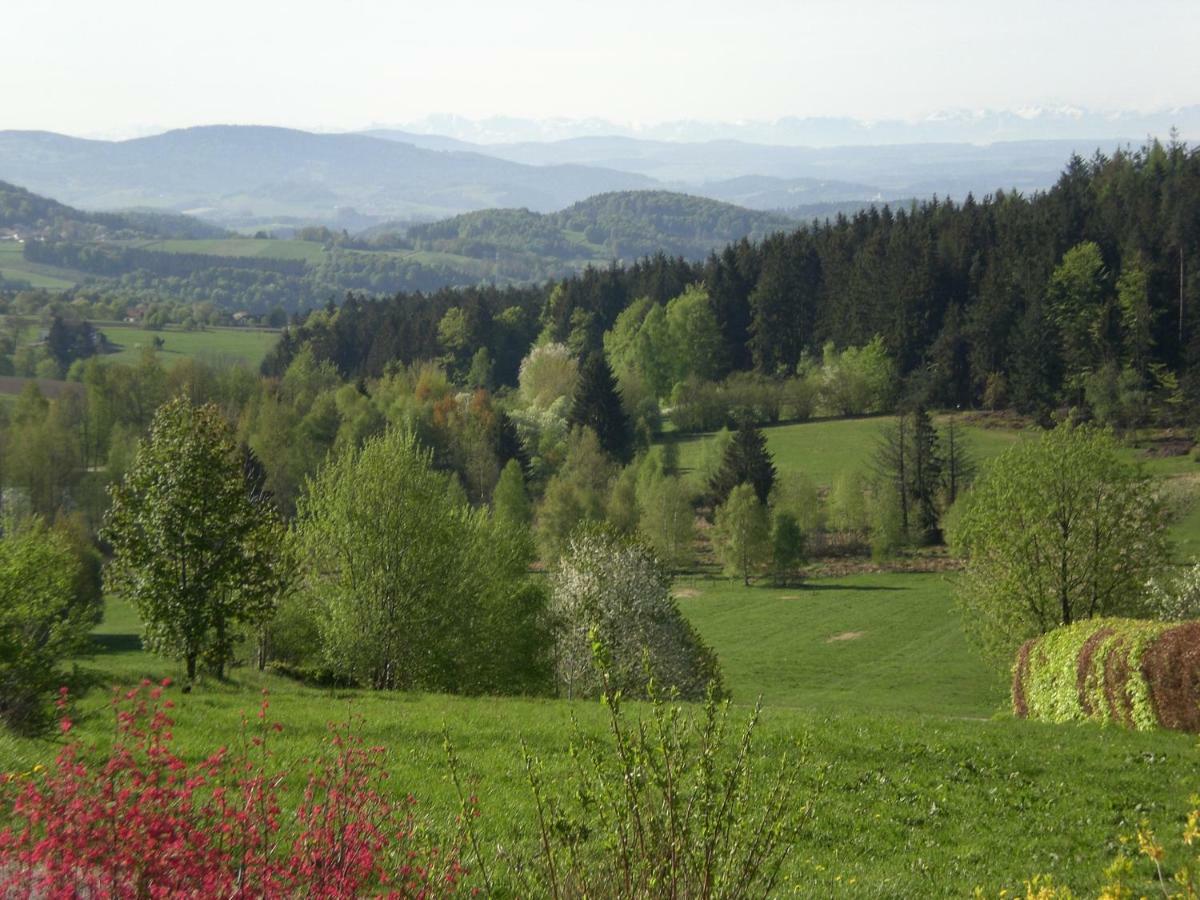 Ferienwohnungen Pichler Hohenau Kültér fotó